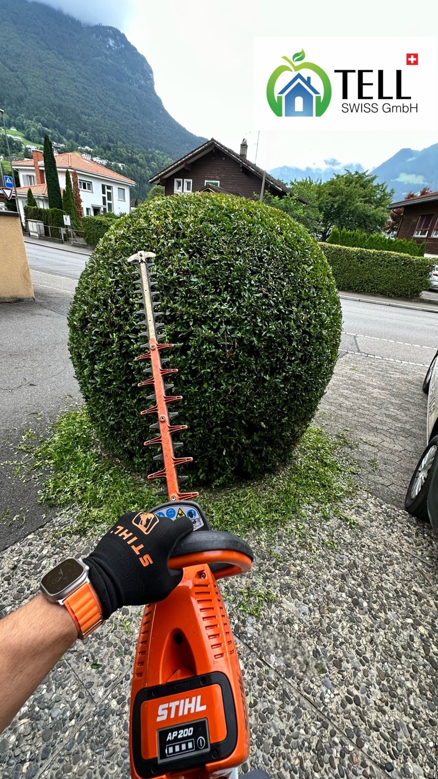 Tell Swiss beim Formschnitt eines runden Strauchs mit einer STIHL Heckenschere