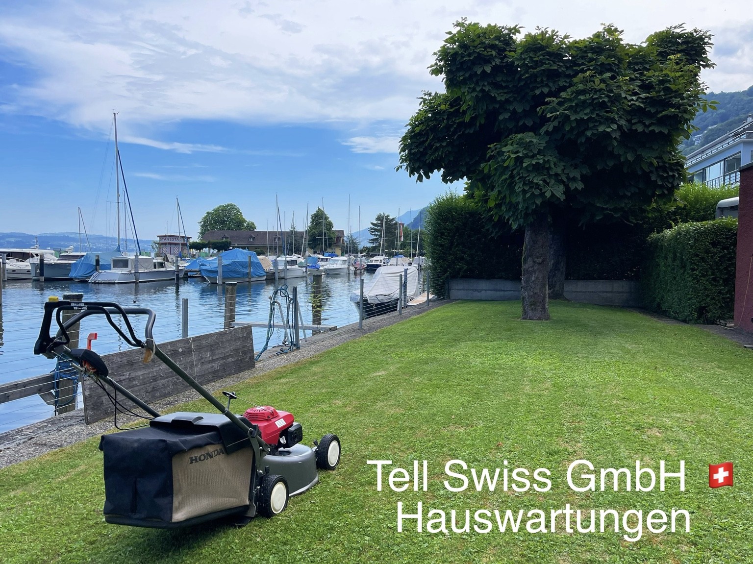 Tell Swiss Rasenmäher auf einer gepflegten Grünfläche am See mit Baum und Bootshafen